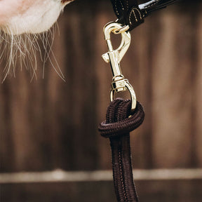 Kentucky Horsewear - Longe avec mousqueton chocolat | - Ohlala