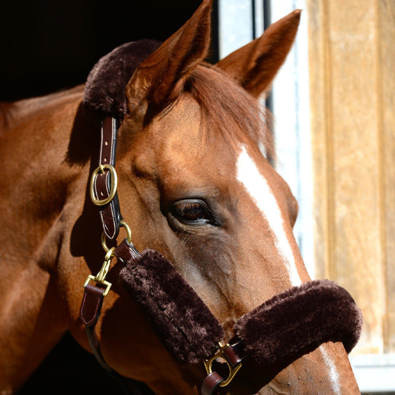 Kentucky Horsewear - Fourreaux de licol mouton marron 4 pcs | - Ohlala