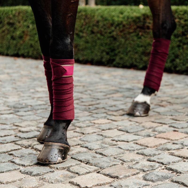 Kentucky Horsewear - Bandes de polo Bordeaux (x4) | - Ohlala