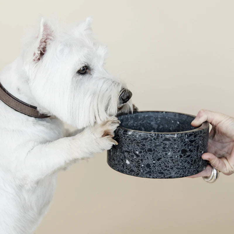 Kentucky Dogwear - Gamelle pour chien Terrazzon en pierres noir | - Ohlala