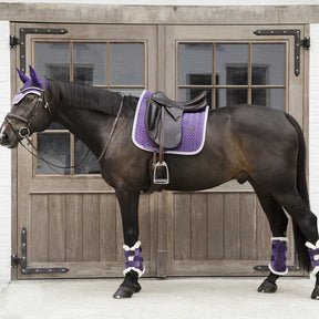 Kentucky Horsewear - Guetre cuir velvet contrast royal purple | - Ohlala