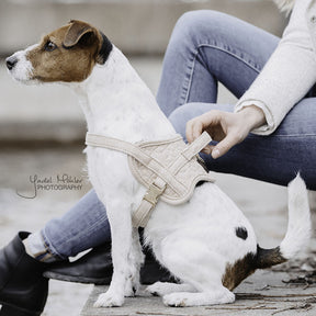 Kentucky Dogwear - Harnais pour chiens Body safe Wool beige | - Ohlala