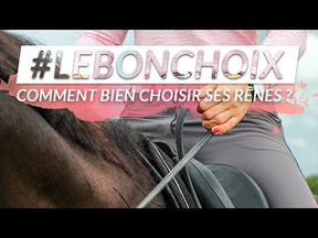 TdeT - Rênes Biotack® lisses jaune