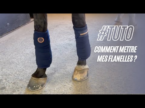 GEM Equitation - Bandes de polo gris acier (x2)