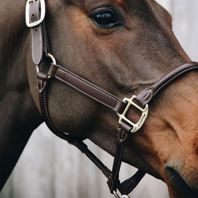 Kentucky Horsewear - Licol cheval anatomique | - Ohlala