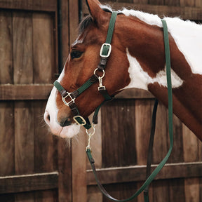 Kentucky Horsewear - Longe nylon tressé vert olive 2 m | - Ohlala