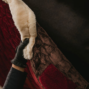 Kentucky Horsewear - Couverture de présentation velvet bordeaux 160g | - Ohlala