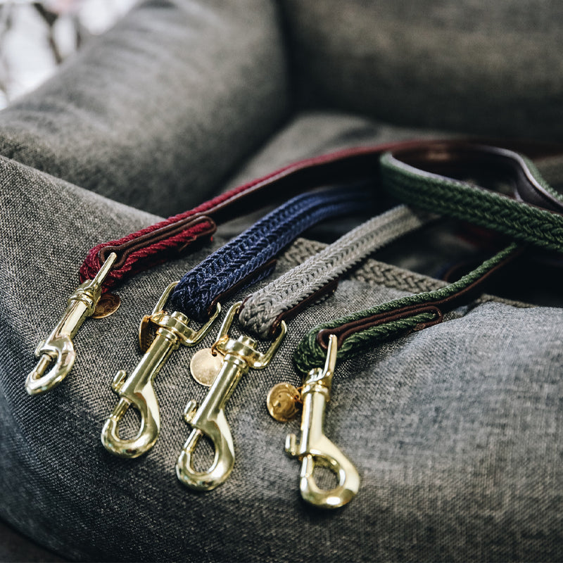 Kentucky Dogwear - Laisse en nylon tressé bordeaux | - Ohlala