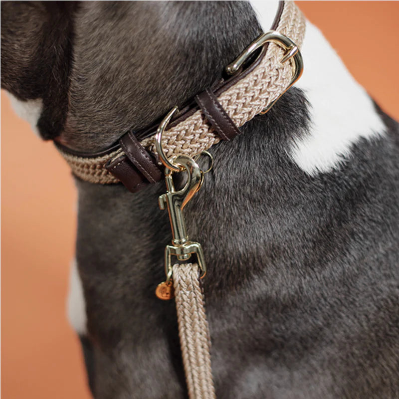 Kentucky Dogwear - Laisse de nylon tressé beige | - Ohlala