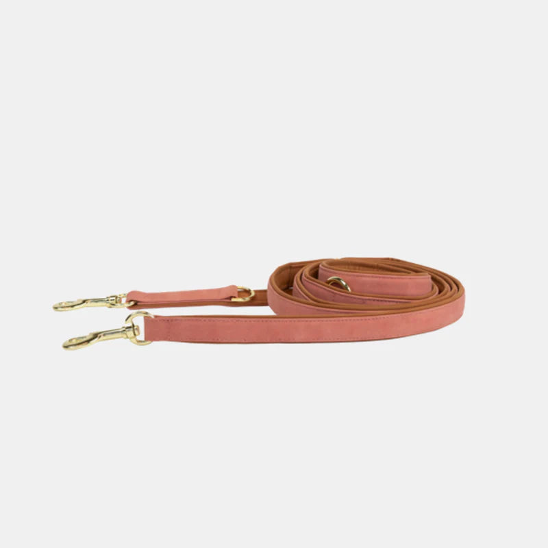Kentucky Dogwear - La laisse chien vegan leather peach/brown 250cm | - Ohlala