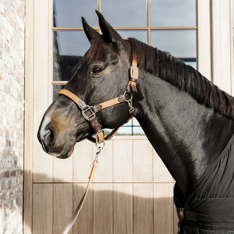 Kentucky Horsewear - Licol nylon tressé orange | - Ohlala