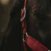 Kentucky Horsewear - Licol velvet bordeaux | - Ohlala