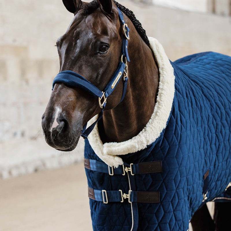 Kentucky Horsewear - Licol Velvet marine | - Ohlala