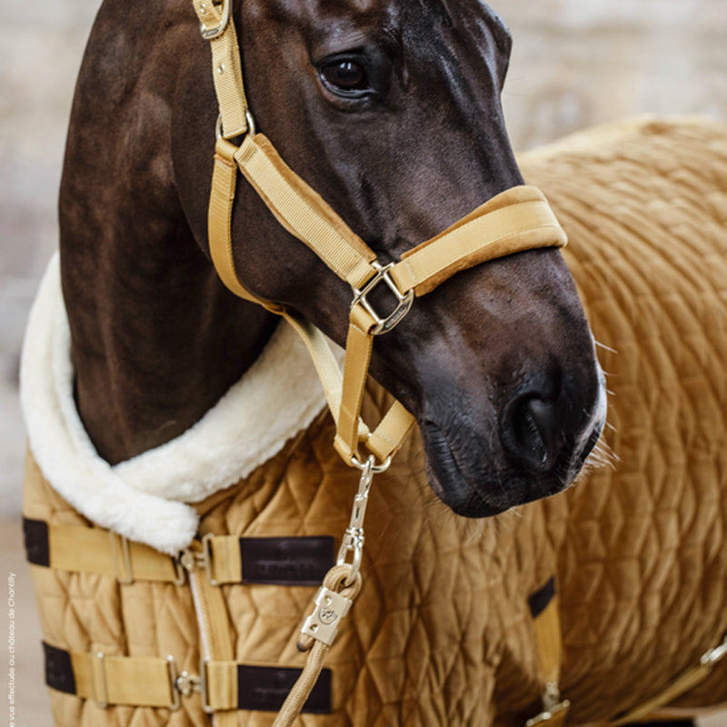 Kentucky Horsewear - Longe nylon 2m Velvet moutarde | - Ohlala