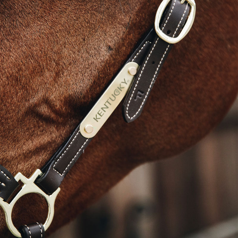 Kentucky Horsewear - Licol de pansage | - Ohlala