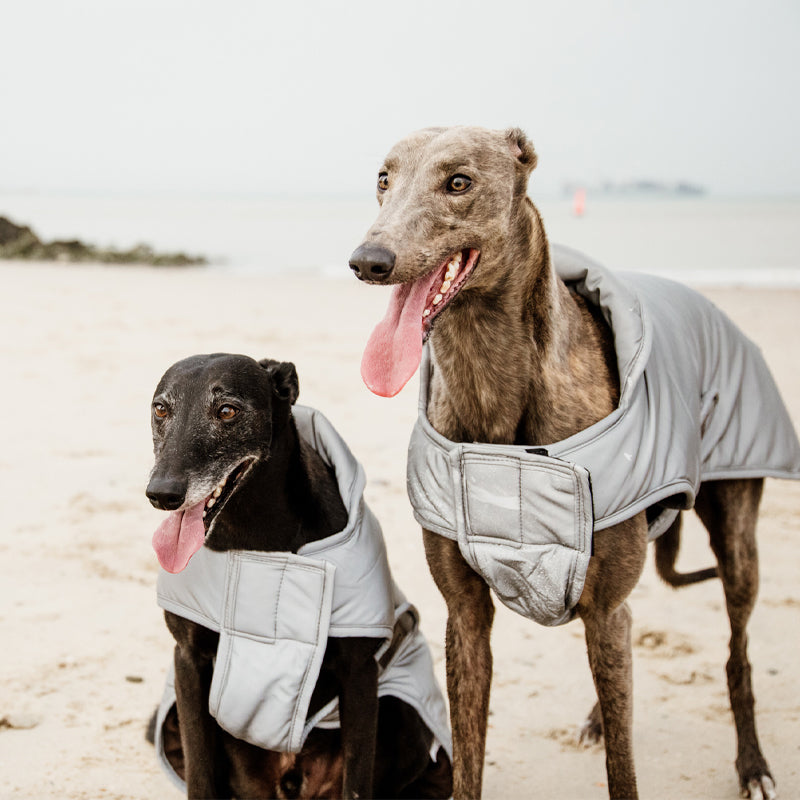Kentucky Dogwear - Manteau pour chien réfléchissant & hydrofuge rabat de ventre 150g | - Ohlala