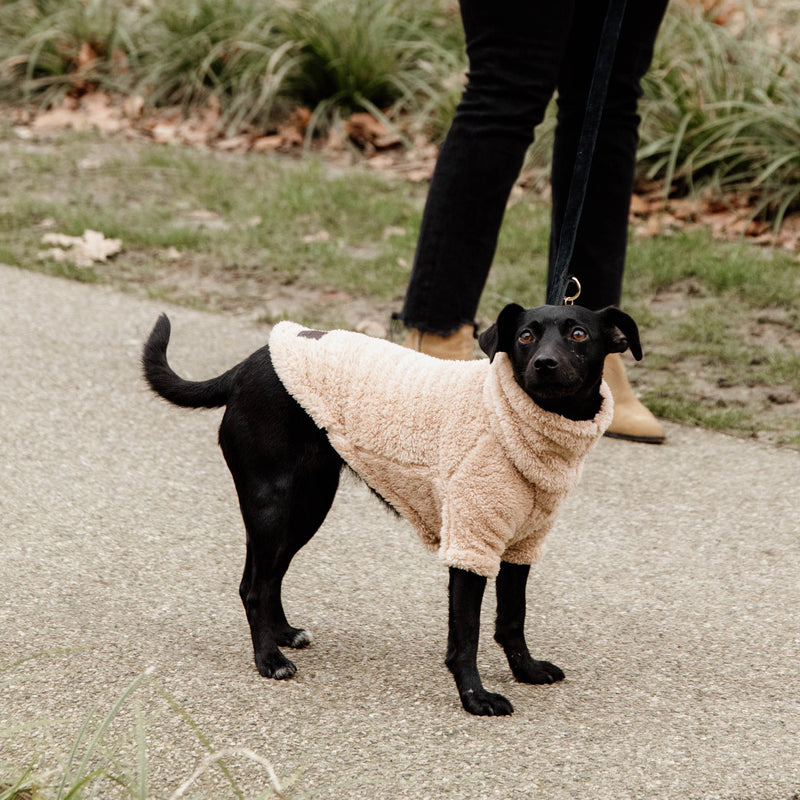 Kentucky Dogwear - Pull pour chien Teddy Fleece | - Ohlala