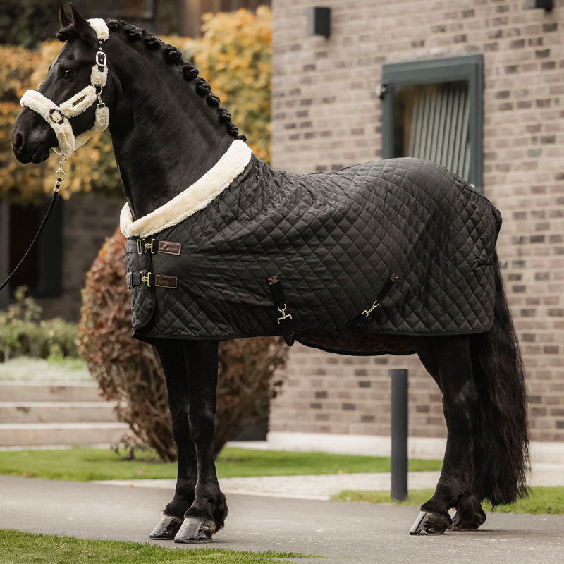 Kentucky Horsewear - Couverture de présentation noir 160g | - Ohlala