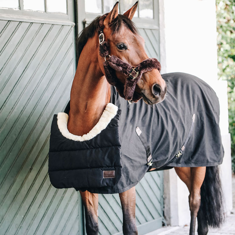 Kentucky Horsewear - BIB Protection de poitrail/garrot noir | - Ohlala