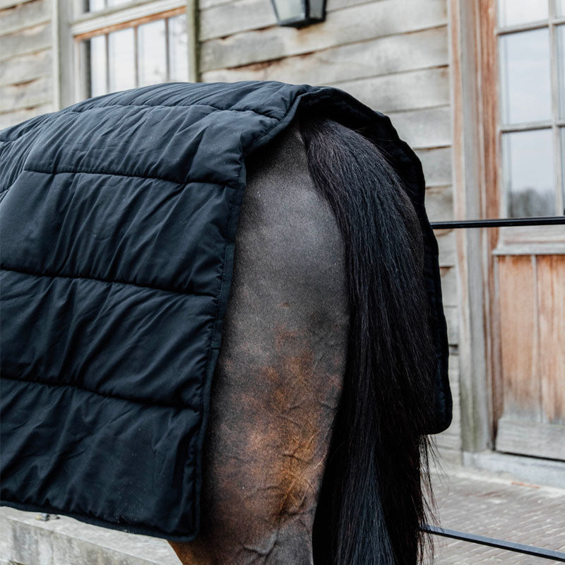 Kentucky Horsewear - Sous-couvertures noir 300g | - Ohlala