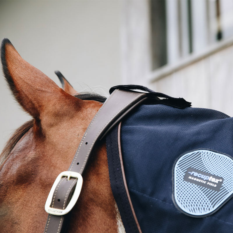 Kentucky Horsewear - Couvre-cou Recuptex marine | - Ohlala
