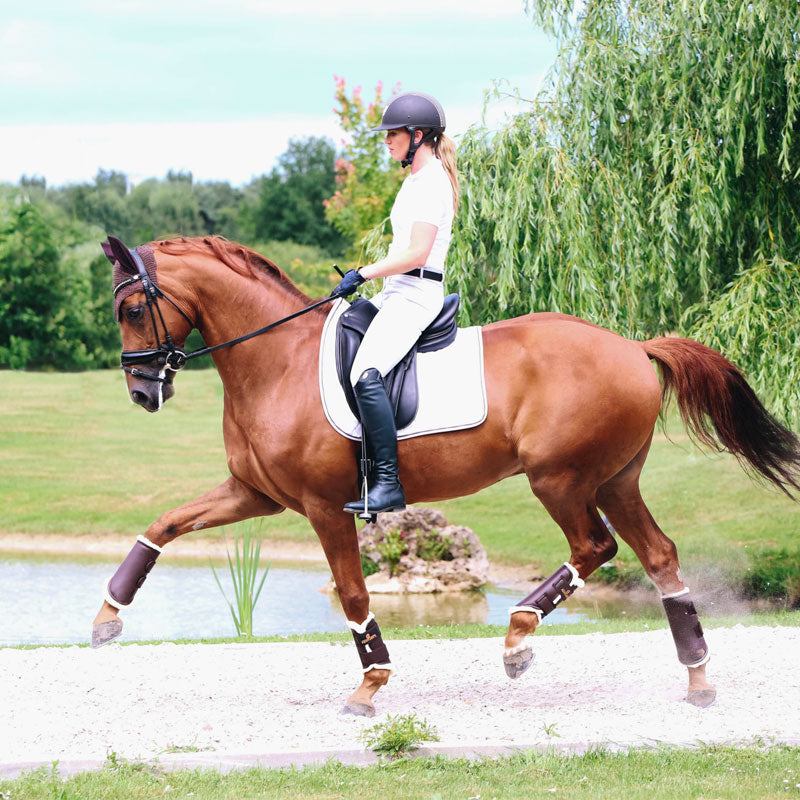 Kentucky Horsewear - Guêtres cheval Turn Out cuir postérieurs marron | - Ohlala