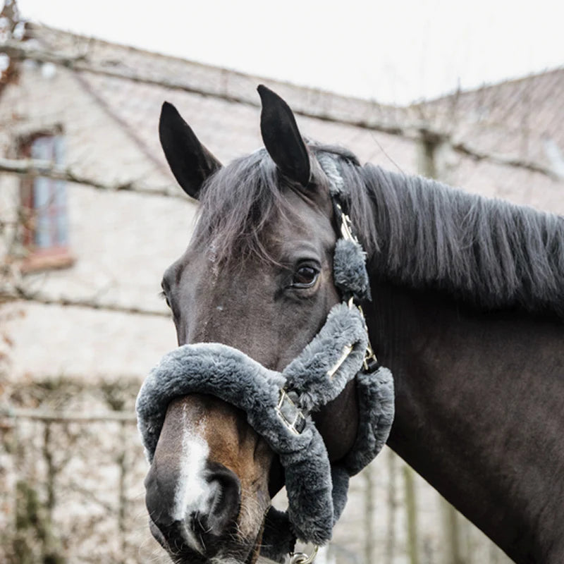 Kentucky Horsewear - Têtière pour licol de transport mouton gris | - Ohlala