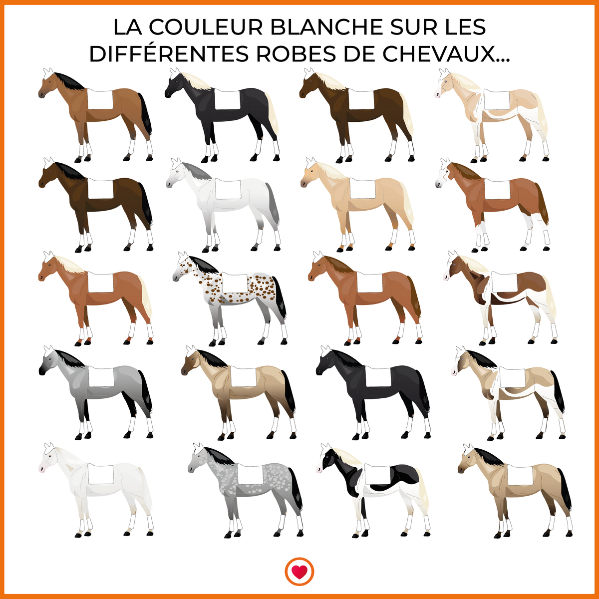 LeMieux - Tapis de dressage Loire Classic Square blanc | - Ohlala