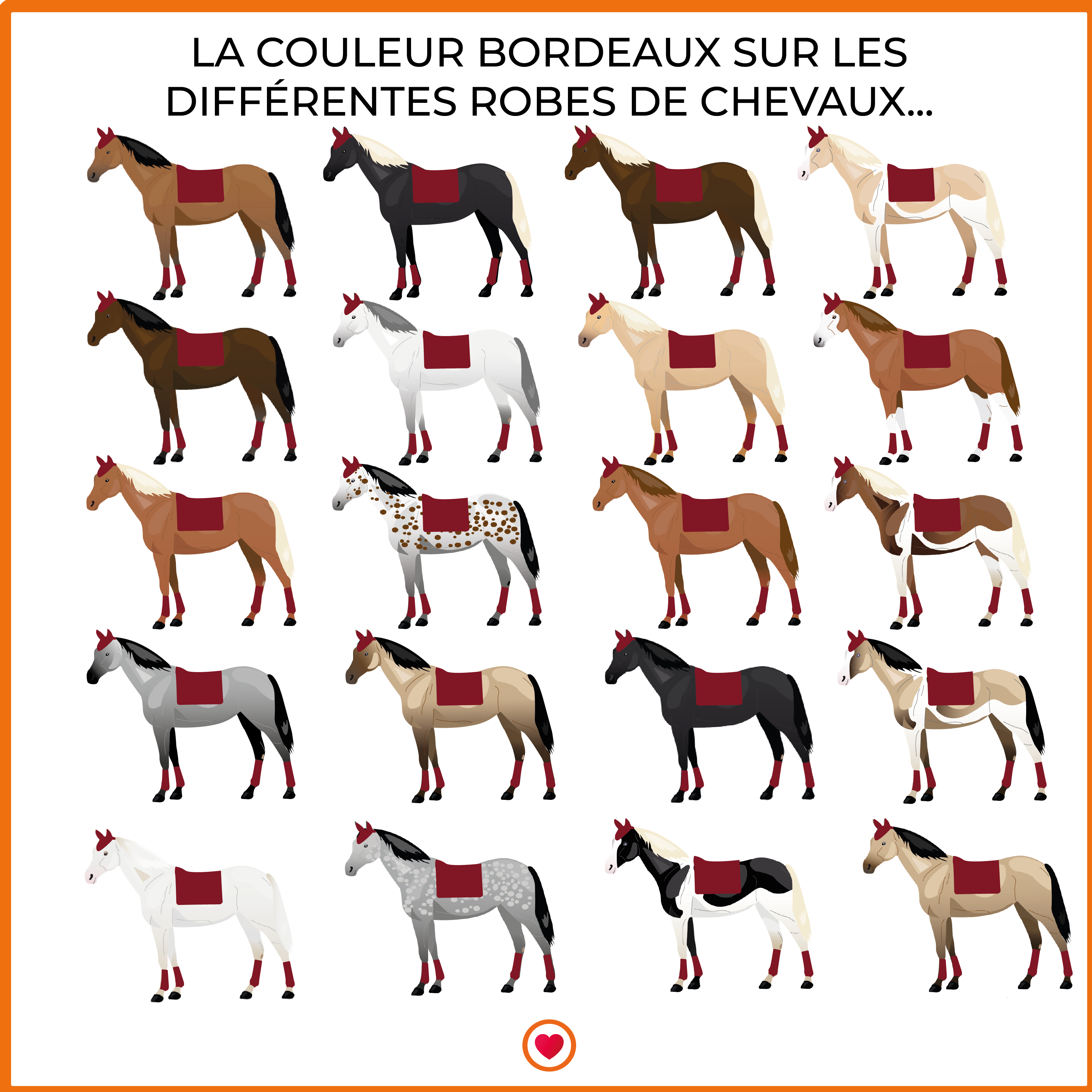 Harcour - Tapis de dressage Chantilly Bordeaux/ Marine | - Ohlala