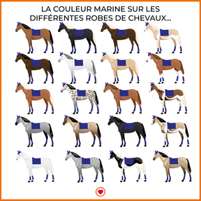 LeMieux - Tapis de dressage Loire Classic Square marine | - Ohlala