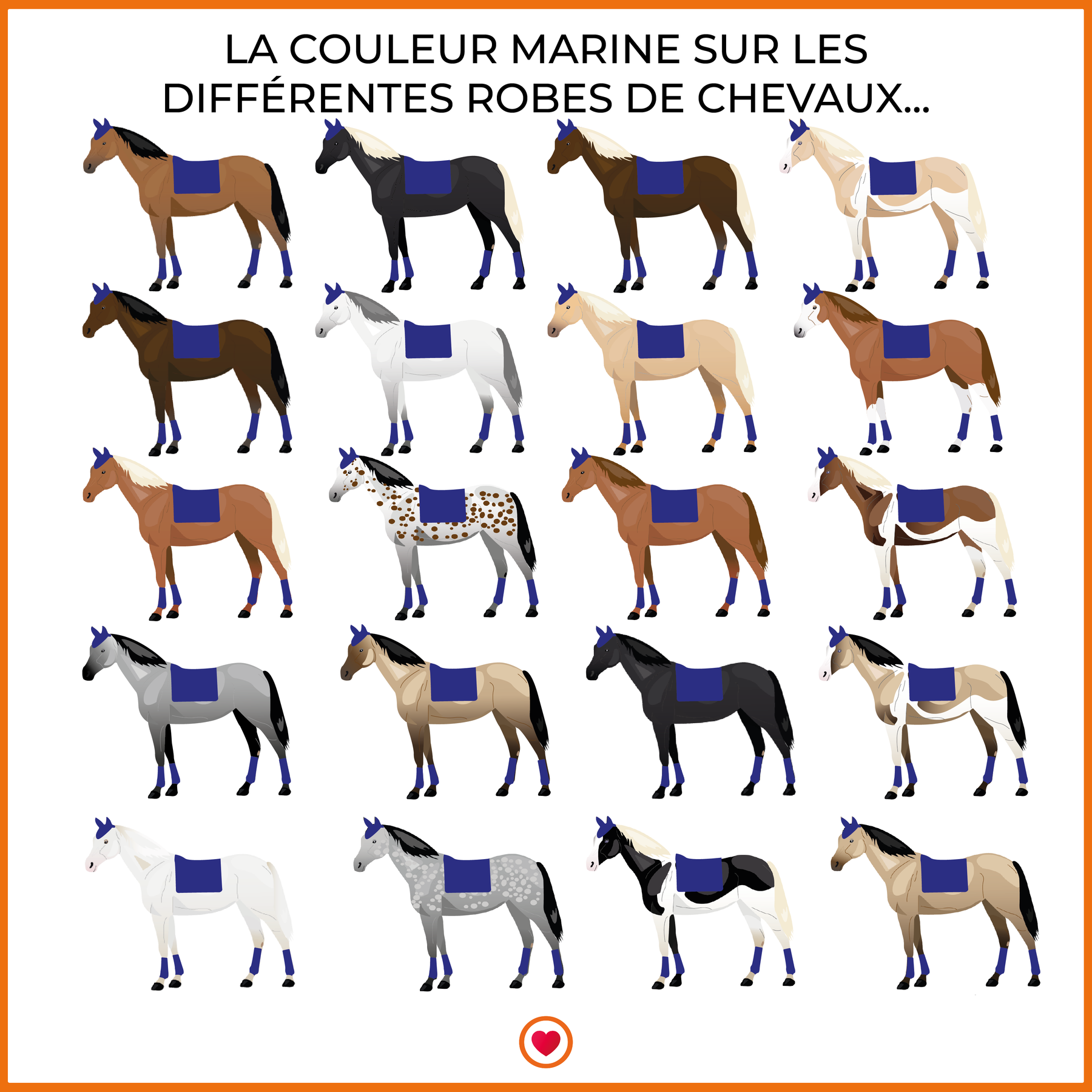 Harcour - Tapis de selle Chantilly Marine / Bleu électrique - Blanc / Bleu électrique | - Ohlala