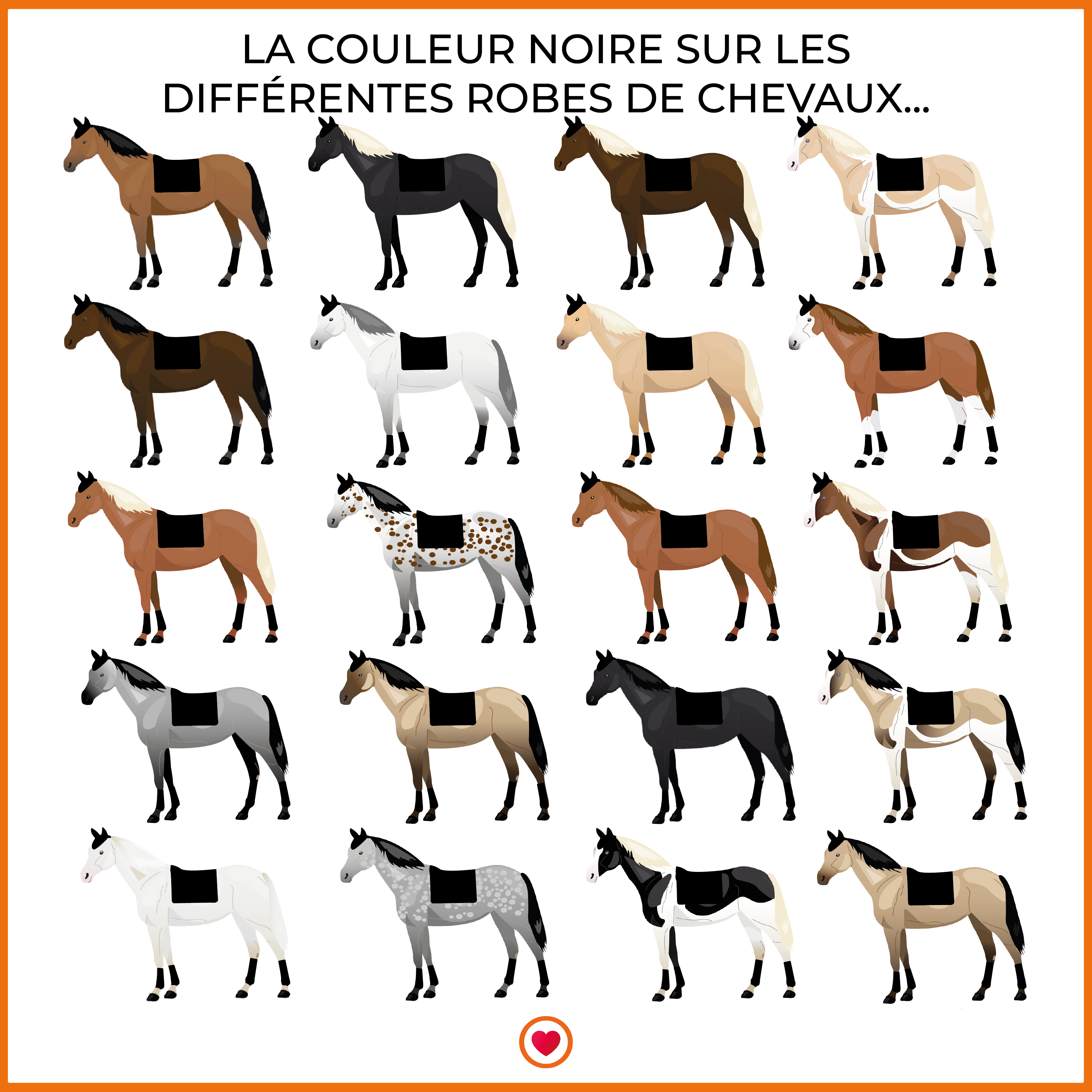 Lami-cell - Tapis de dressage classic noir | - Ohlala