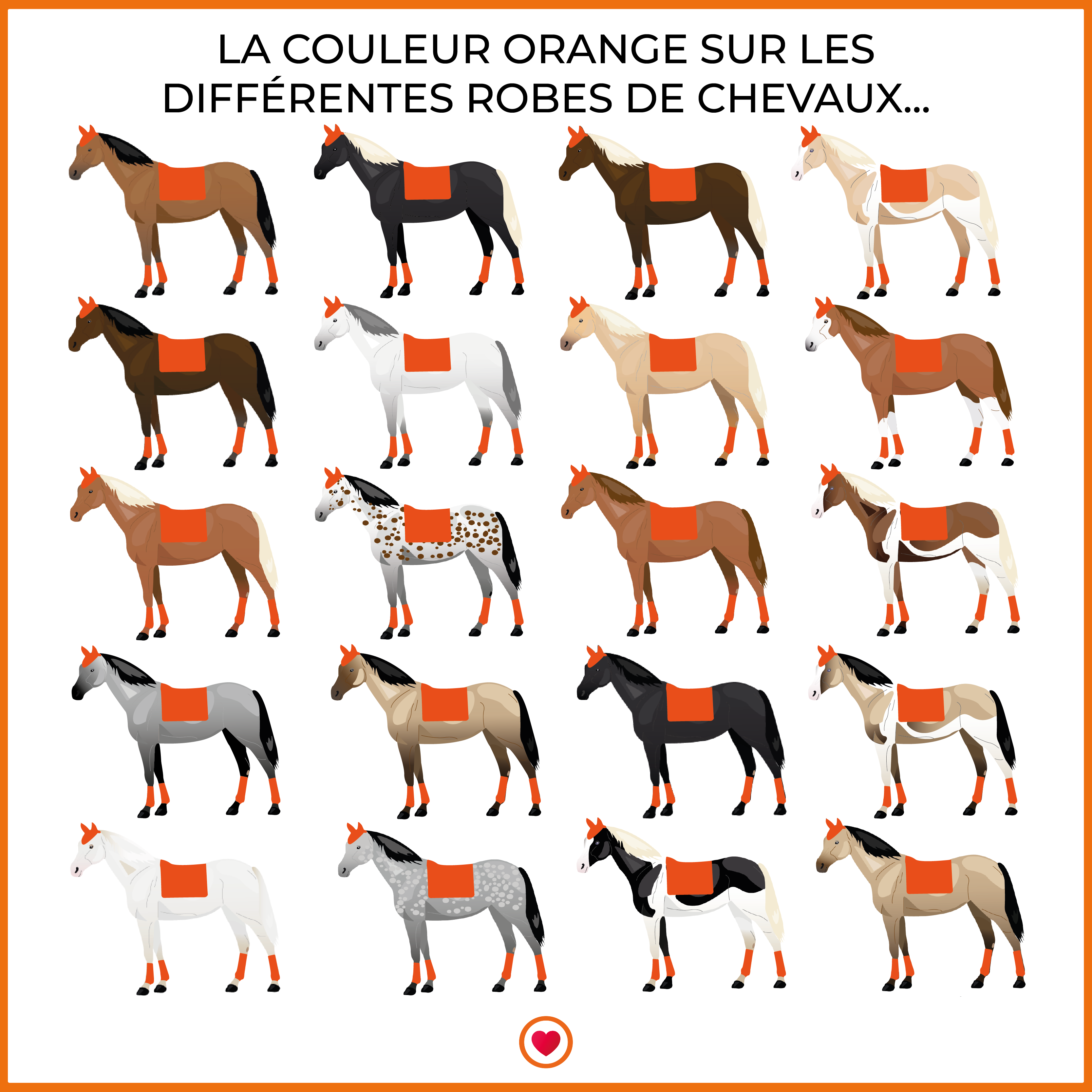 Oxxer - Tapis de dressage Monogramme orange/ noir | - Ohlala