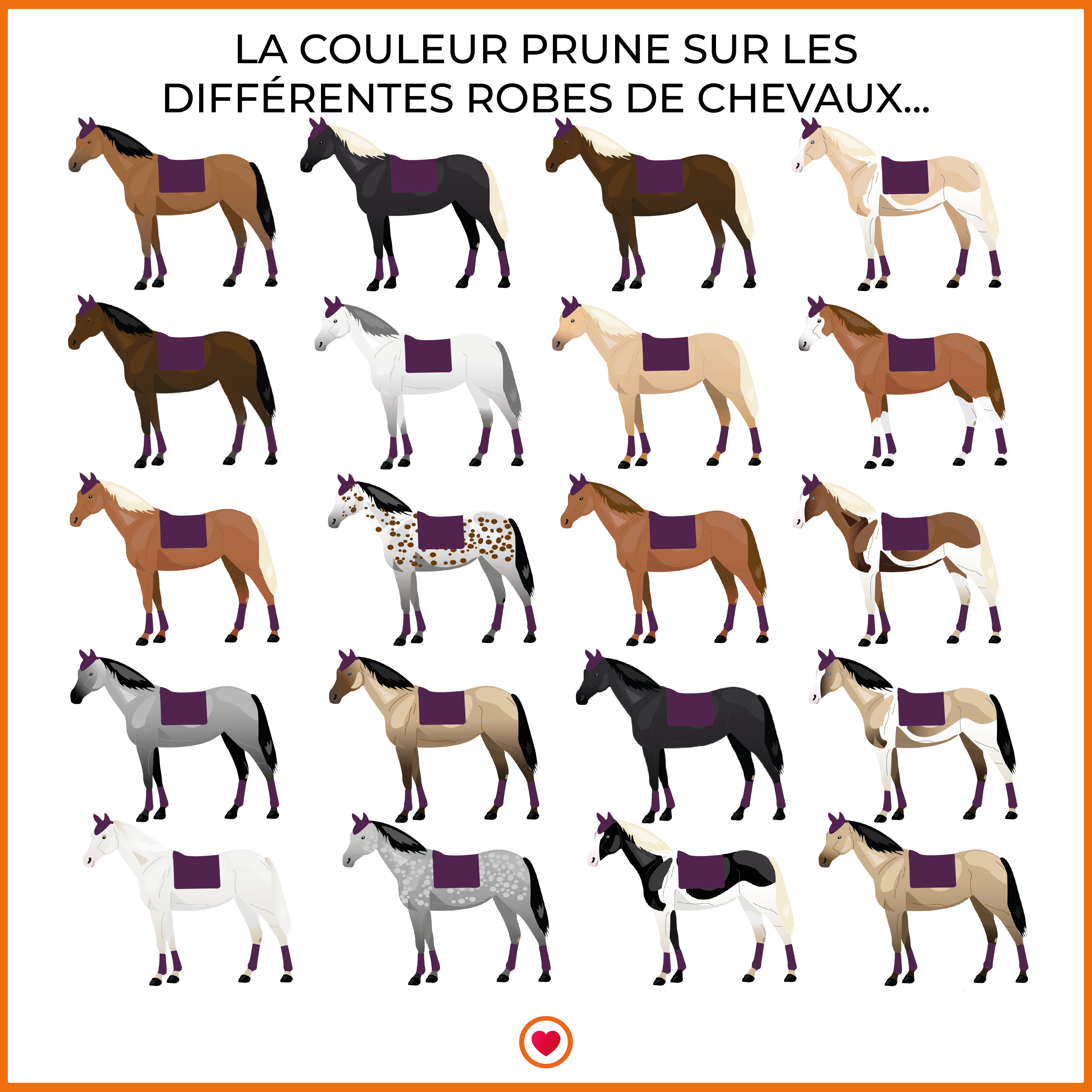 Equithème - Tapis de dressage Satin prune | - Ohlala