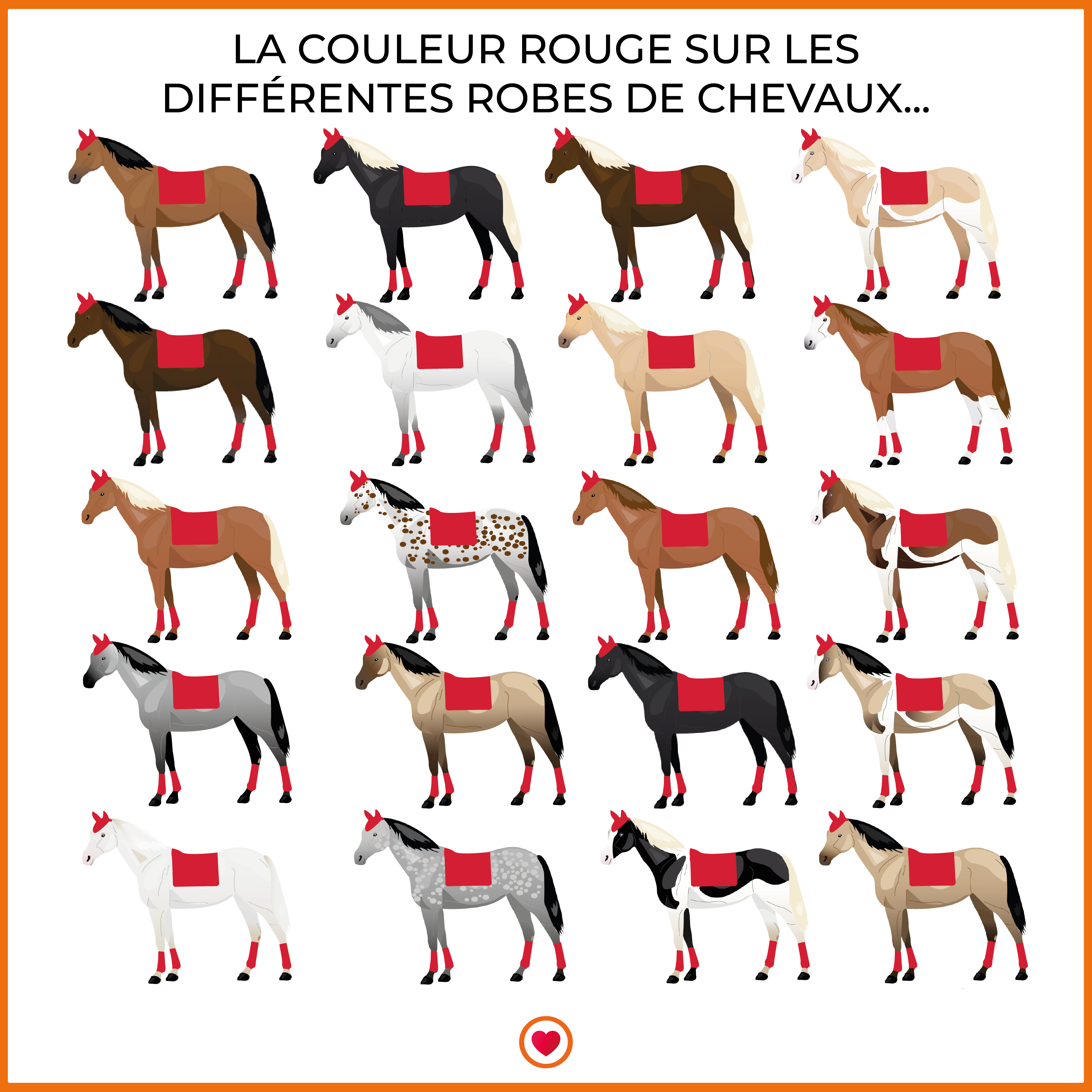 Riding World - Tapis de selle Rope rouge | - Ohlala