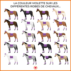 LeMieux - Tapis de selle Loire Memory Satin violet | - Ohlala