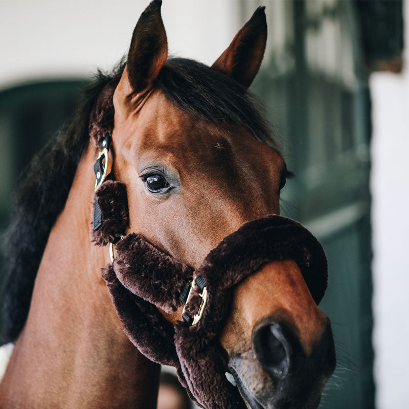 Kentucky Horsewear - Licol de transport mouton marron | - Ohlala