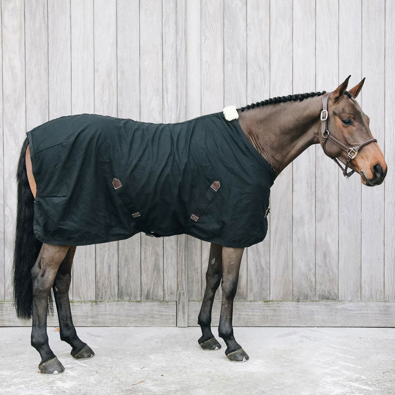 Kentucky Horsewear - Chemise coton noir 0g | - Ohlala